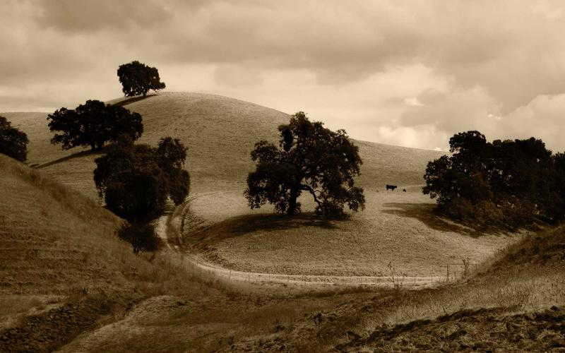 Grupo Safety Algarve