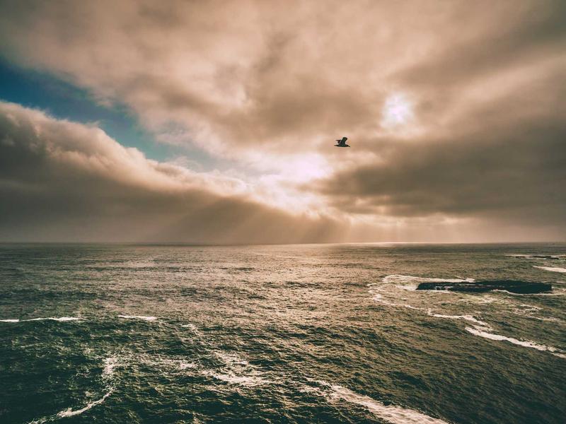 Sprinklers e Redes de Incêndio