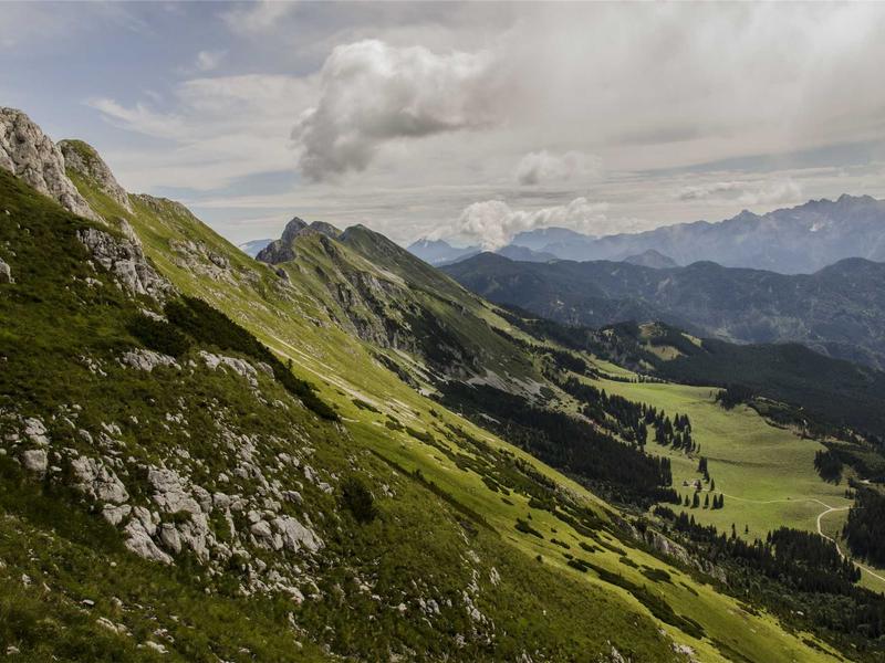 Projetos de Segurança (SCIE)